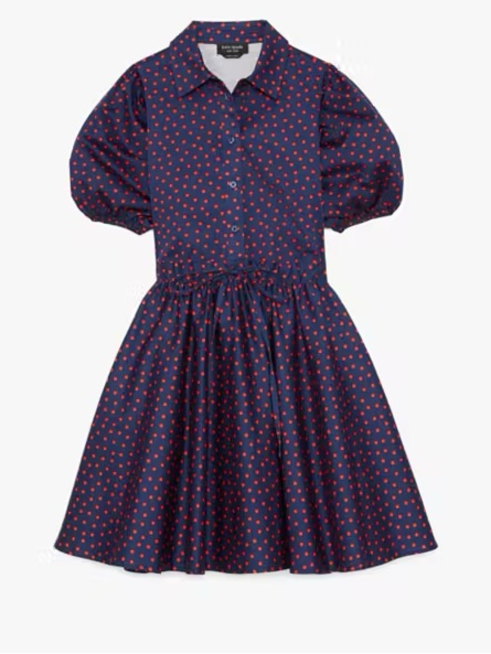 NWOT kate spade Spring Time Dot Millie Dress